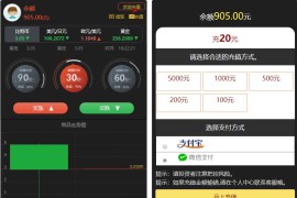 全新UI二开微交易+时间盘+带资讯+K线全修复带风控