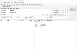 文件搜索工具(FileLocator Pro)8.2.2766.x64+x86中文绿色便携专业版